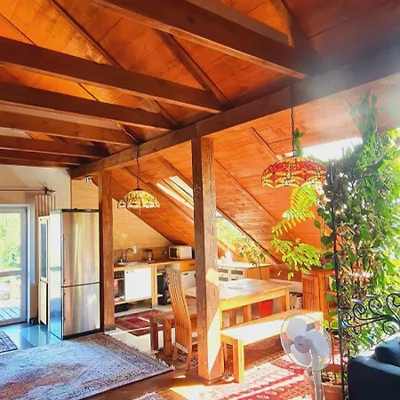 The Loft Warsaw Apartment *